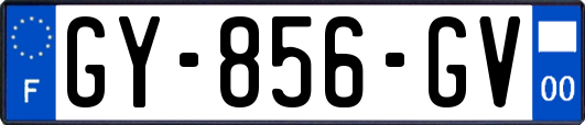 GY-856-GV