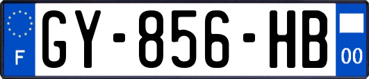 GY-856-HB