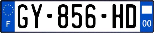 GY-856-HD