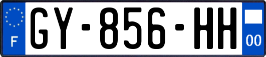 GY-856-HH