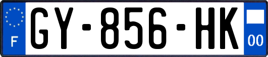 GY-856-HK