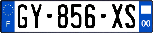 GY-856-XS