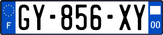 GY-856-XY