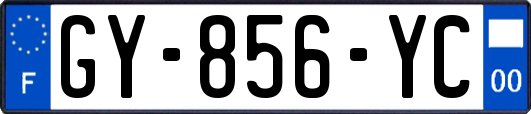 GY-856-YC