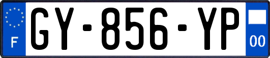 GY-856-YP