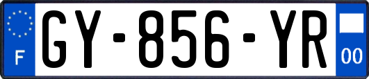 GY-856-YR