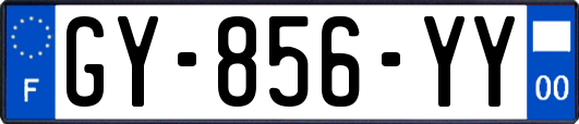 GY-856-YY