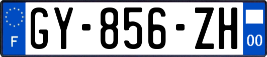 GY-856-ZH