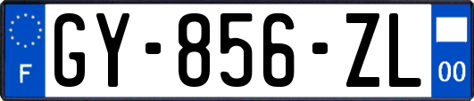 GY-856-ZL