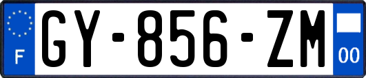 GY-856-ZM