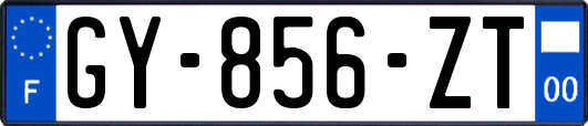 GY-856-ZT