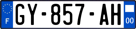 GY-857-AH