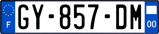 GY-857-DM