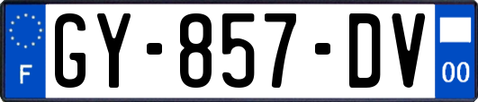 GY-857-DV