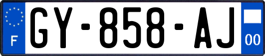GY-858-AJ
