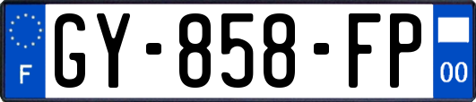 GY-858-FP
