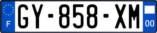 GY-858-XM