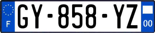 GY-858-YZ