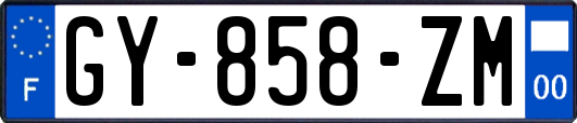 GY-858-ZM