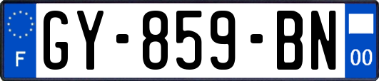 GY-859-BN