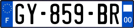 GY-859-BR