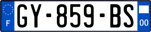 GY-859-BS
