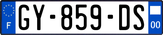 GY-859-DS