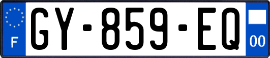 GY-859-EQ