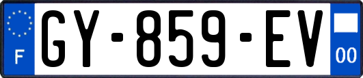 GY-859-EV