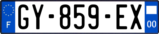 GY-859-EX