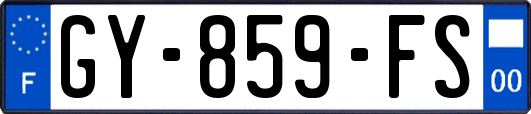 GY-859-FS