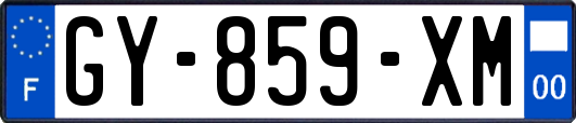 GY-859-XM