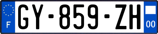 GY-859-ZH