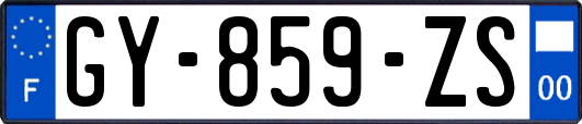GY-859-ZS