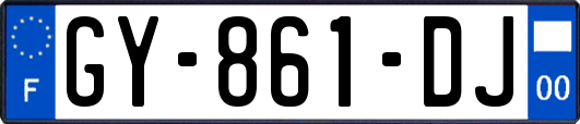 GY-861-DJ