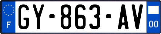 GY-863-AV