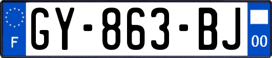 GY-863-BJ