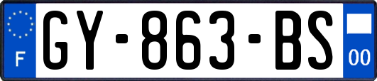 GY-863-BS