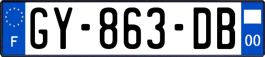 GY-863-DB