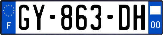 GY-863-DH