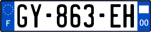 GY-863-EH
