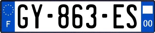 GY-863-ES