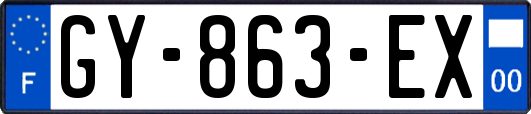 GY-863-EX