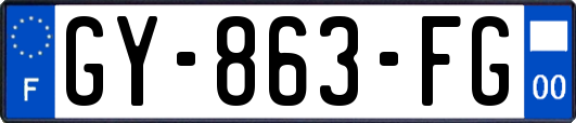 GY-863-FG