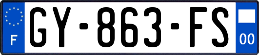 GY-863-FS