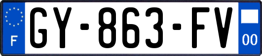 GY-863-FV