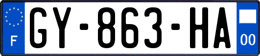 GY-863-HA