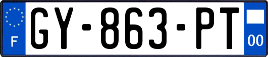 GY-863-PT