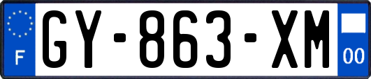GY-863-XM