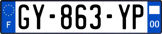 GY-863-YP